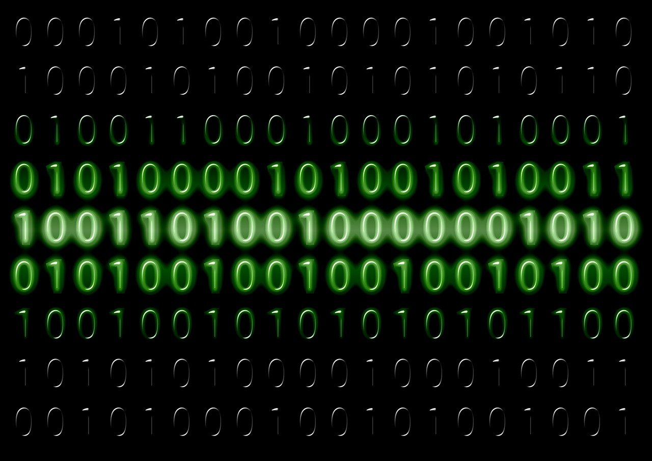 Netnut文章圖片