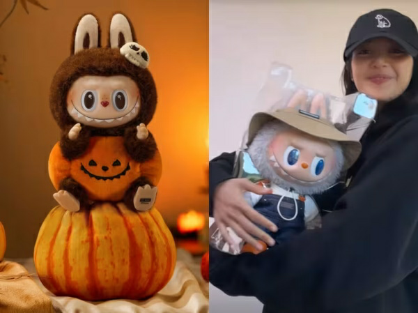 Nox聚星文章图片