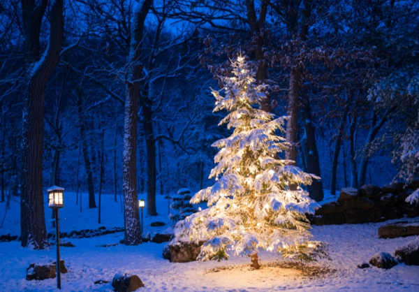 Nox聚星文章图片