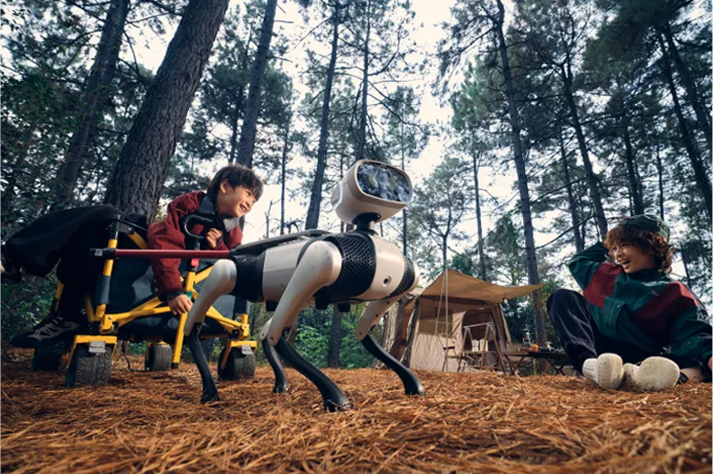 Nox聚星文章图片