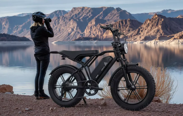 Nox聚星文章图片