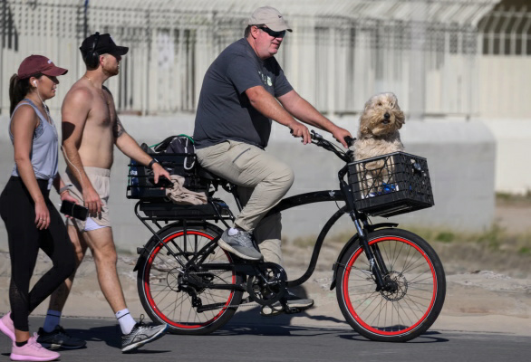 Nox聚星文章图片