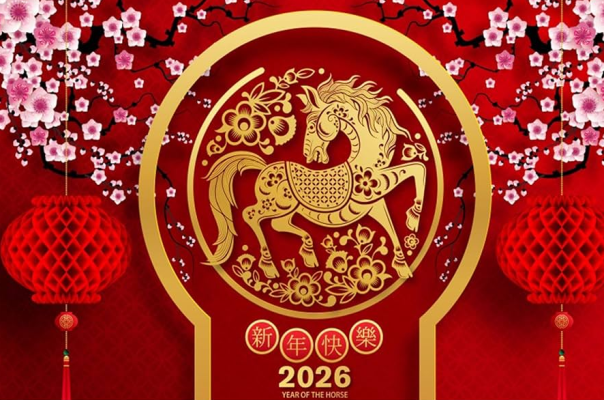 Nox聚星文章图片