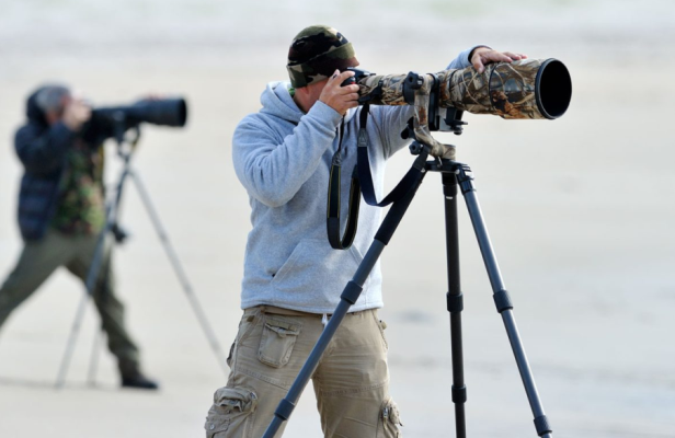 Nox聚星文章图片