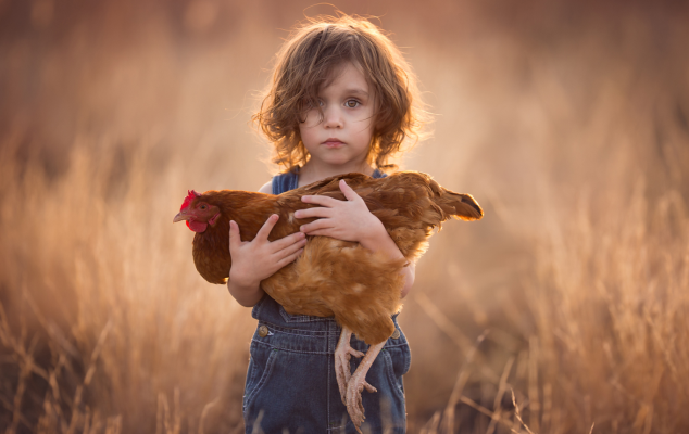 Nox聚星文章图片