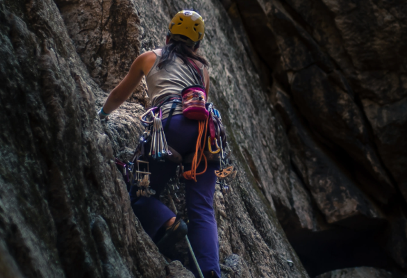 Nox聚星文章图片