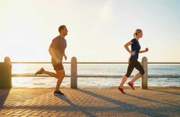 Nox聚星文章图片