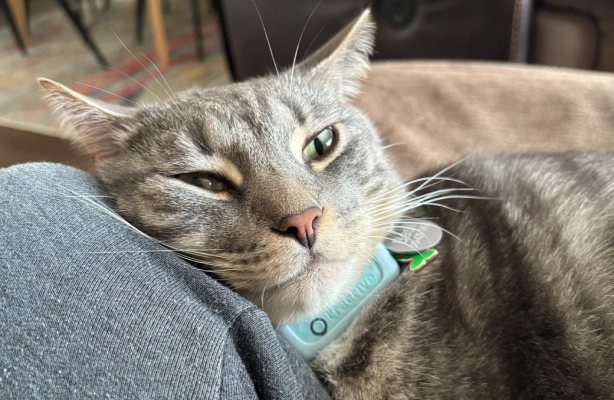 Nox聚星文章图片