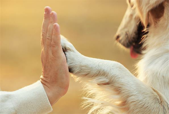 Nox聚星文章图片