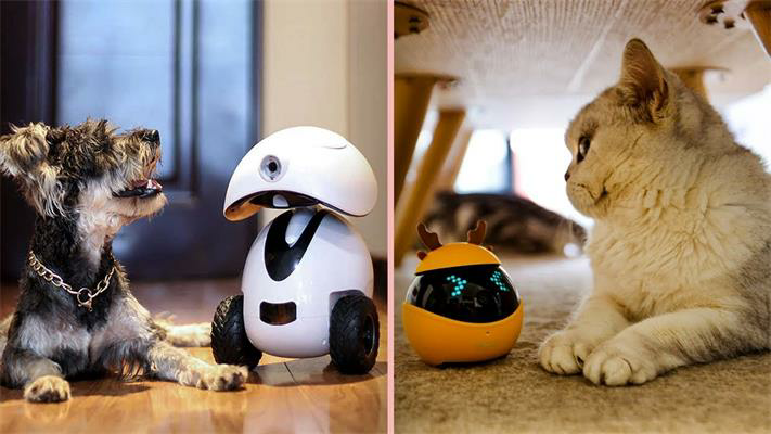 Nox聚星文章图片