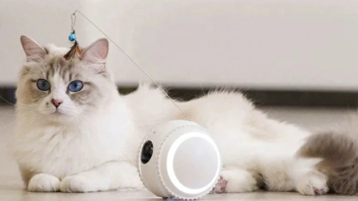 Nox聚星文章图片