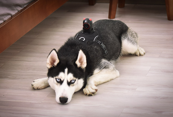 Nox聚星文章图片