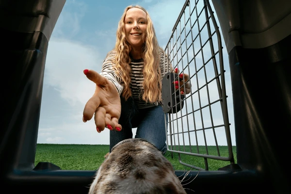 Nox聚星文章图片