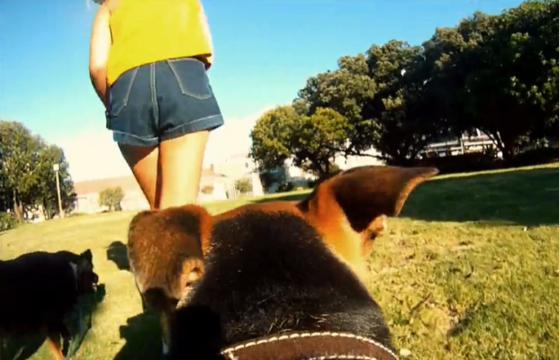 Nox聚星文章图片