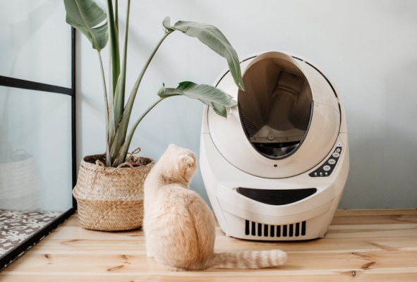 Nox聚星文章图片