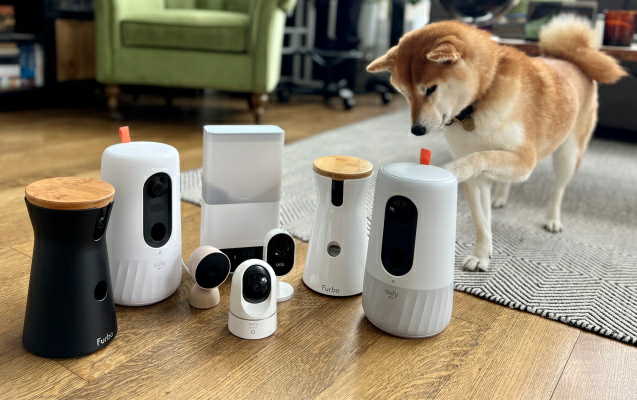 Nox聚星文章图片