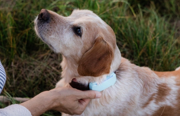 Nox聚星文章图片