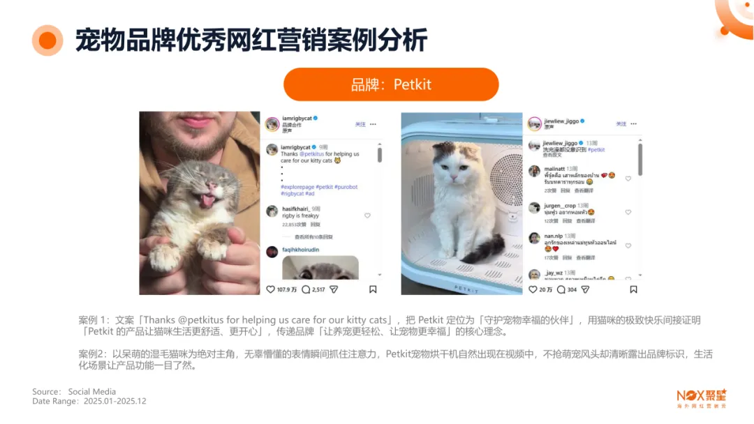 Nox聚星文章图片