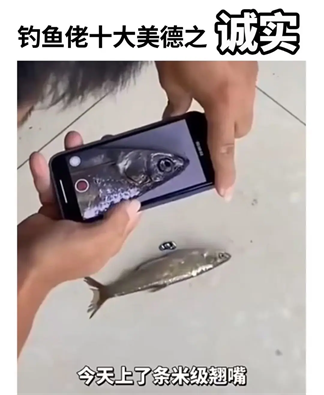 Nox聚星文章图片