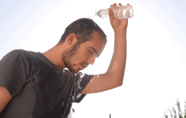 Nox聚星文章图片