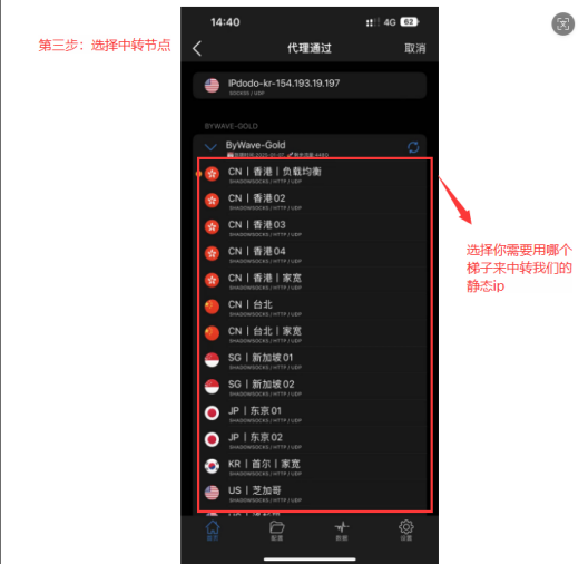 IPdodo全球网络文章图片